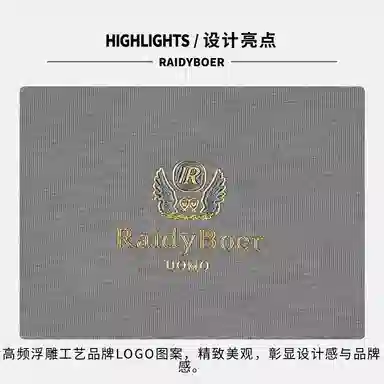 Raidy Boer T