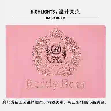 Raidy Boer T
