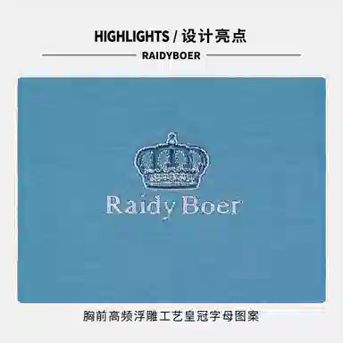 Raidy Boer T