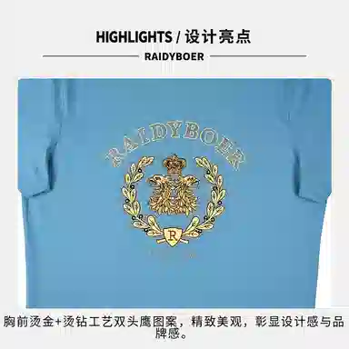 Raidy Boer T