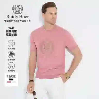 Raidy Boer T