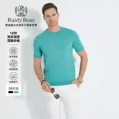 Raidy Boer T