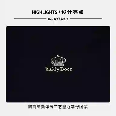 Raidy Boer T
