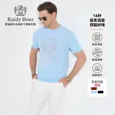 Raidy Boer T