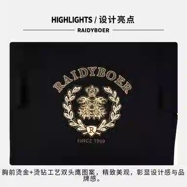 Raidy Boer T