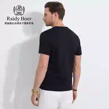 Raidy Boer LOGOT