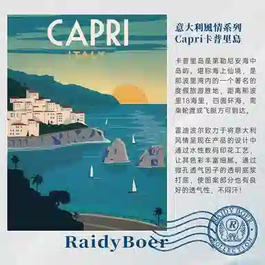 Raidy Boer T