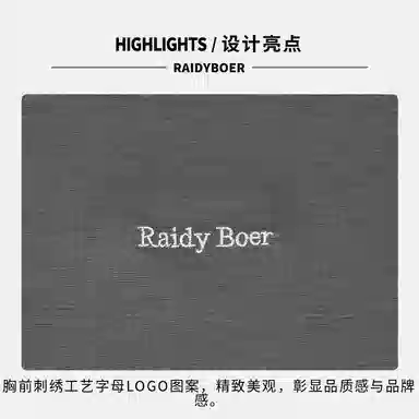 Raidy Boer LOGOT