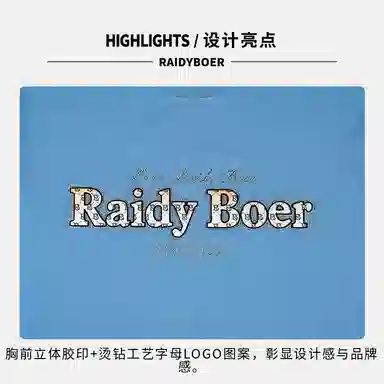 Raidy Boer T