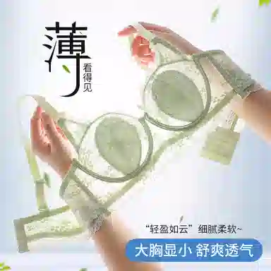 欧迪芬 冰丝轻薄透气亲肤蕾丝全包裹大胸显小兔耳杯不凸点上托聚拢防下垂收副乳文胸 女款