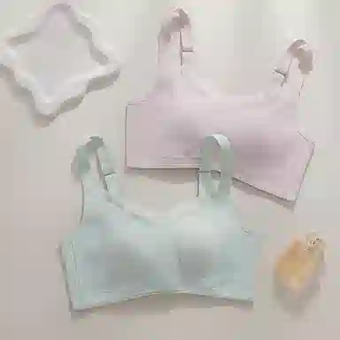 欧迪芬 裸感无痕冰丝轻薄透气亲肤柔软软支撑大胸显小上托聚拢防下垂收副乳夏季冰凉感两件装文胸 女款