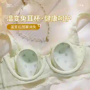 欧迪芬 冰丝轻薄透气亲肤蕾丝全包裹大胸显小兔耳杯不凸点上托聚拢防下垂收副乳文胸 女款