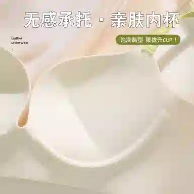 欧迪芬 小胸聚拢显大防下垂收副乳无痕调整型文胸 女款