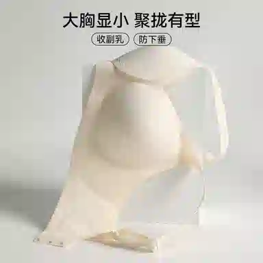 欧迪芬 大胸显小聚拢上托侧收副乳防下垂无钢圈文胸 女款