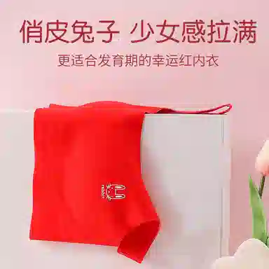 欧迪芬 舒适青春发育期年初高中无痕塑性背心文胸 女款 本命红