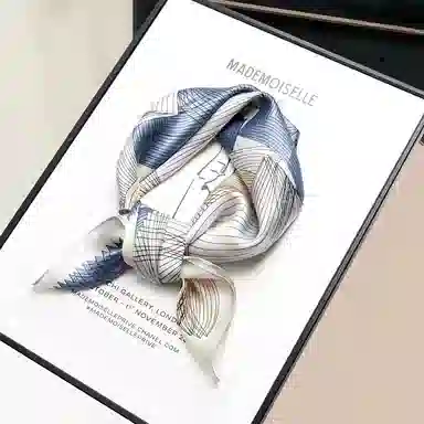 纳兰杜 线条装饰百搭高级感时尚外搭小众设计 桑蚕丝 丝巾 女款