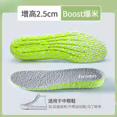 FACTORIAL AJ BOOST+