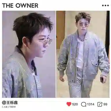 THE OWNER