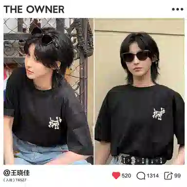THE OWNER