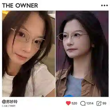 THE OWNER