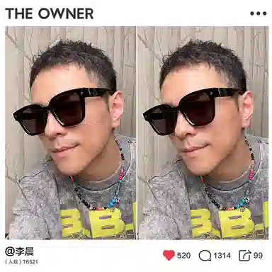 THE OWNER