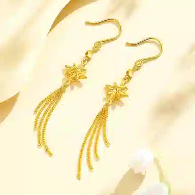 璀璨之心 拉丝八芒星流苏 精致轻奢小众高级感设计时尚百搭气质温柔 浪漫恋爱表白日心意礼盒 足金 按克计价 黄金耳钉 女款