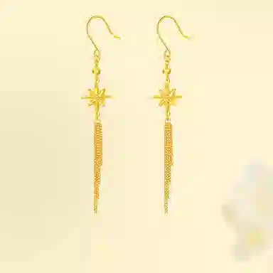 璀璨之心 拉丝八芒星流苏 精致轻奢小众高级感设计时尚百搭气质温柔 浪漫恋爱表白日心意礼盒 足金 按克计价 黄金耳钉 女款