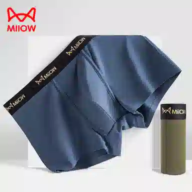 MIIOW U 4