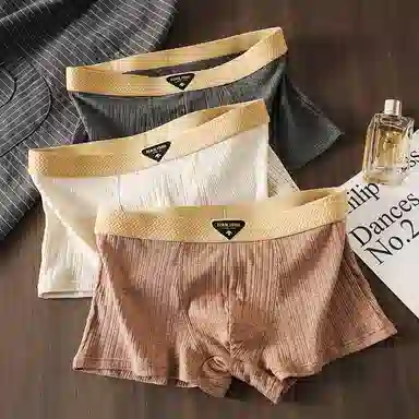 贴身领域 纯棉休闲短裤中腰轻薄薄款凉感舒适透气平角裤夏季内裤 男款