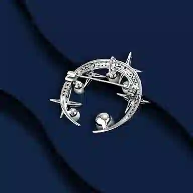 Marco BizzarriINS520