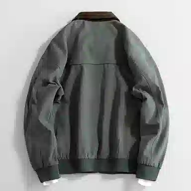 INS