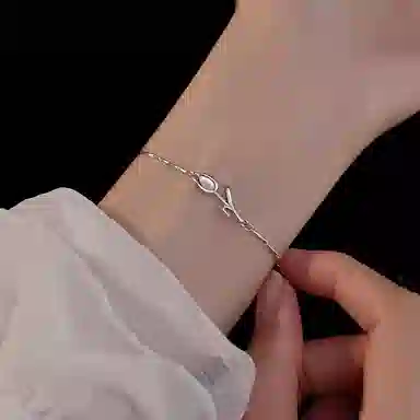 FANSHINER S999