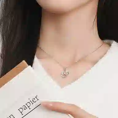 FANSHINER