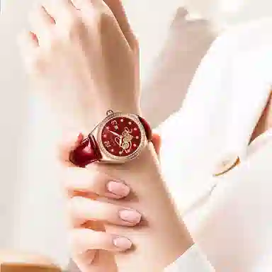 GAIDU Simple Luxury Women's Watch
