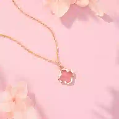 220284 ins 18K