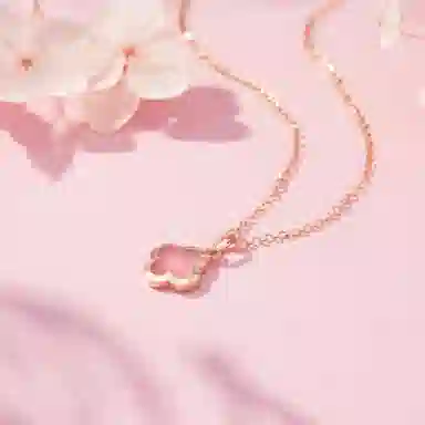 220284 ins 18K