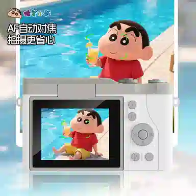 HAWESGARS DK15CCD 6400164K vlog