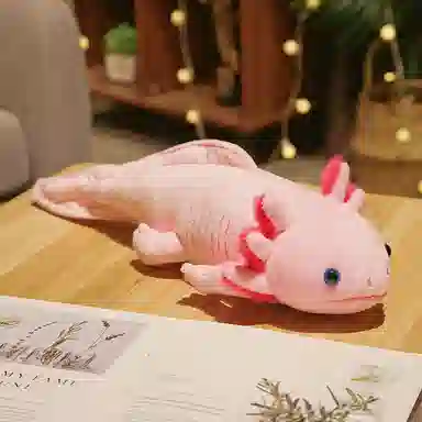 OLOEY 45cm80cm