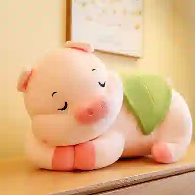 OLOEY 50cm80cm