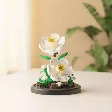 OLOEY 301-600pcs OLOEY-JM-