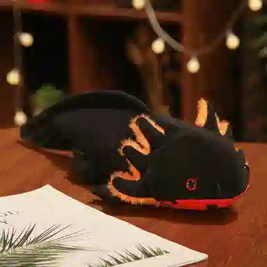 OLOEY 45cm80cm