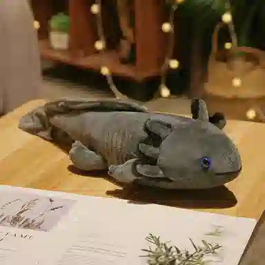 OLOEY 45cm80cm