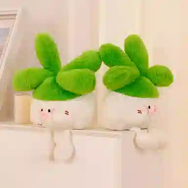 OLOEY 25cm