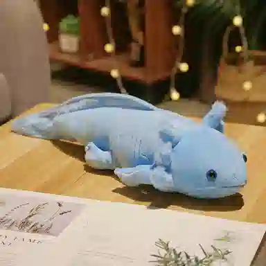 OLOEY 45cm80cm