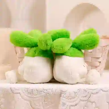 OLOEY 25cm