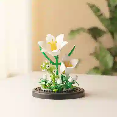 OLOEY 301-600pcs OLOEY-JM-