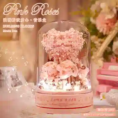 OLOEY 899pcs OLOEY-JM-