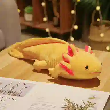 OLOEY 45cm80cm