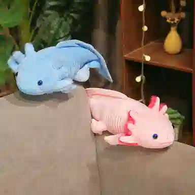OLOEY 45cm80cm