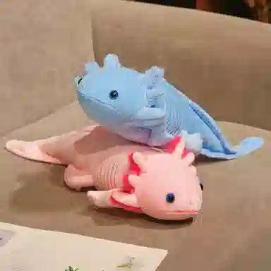 OLOEY 45cm80cm